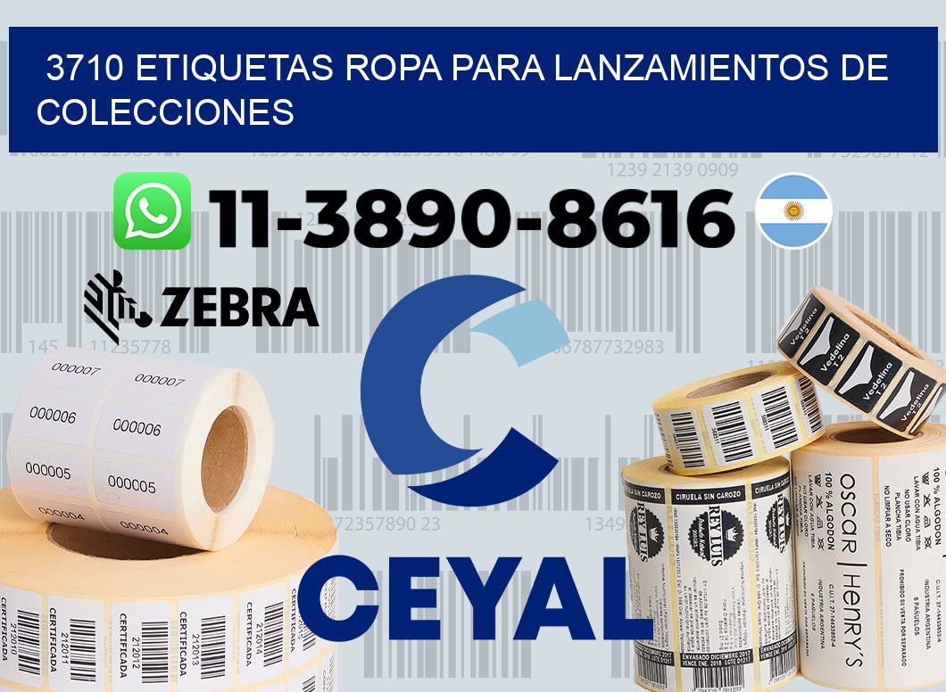 3710 Etiquetas ropa para lanzamientos de colecciones
