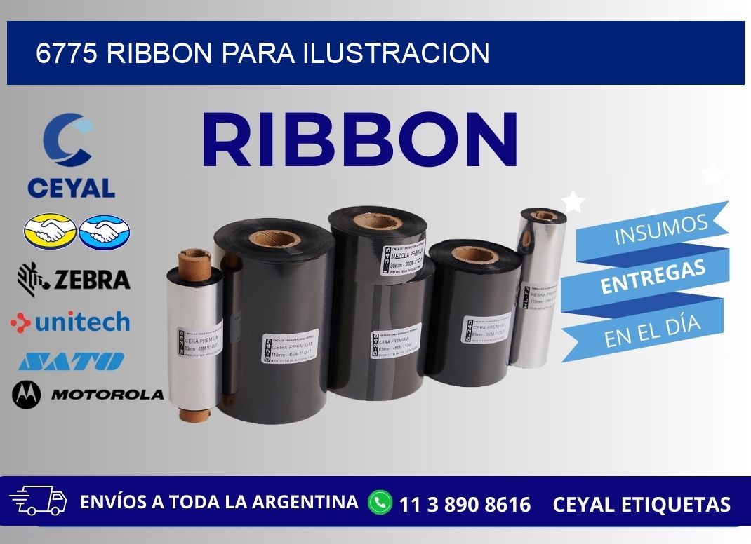 6775 ribbon para ilustracion