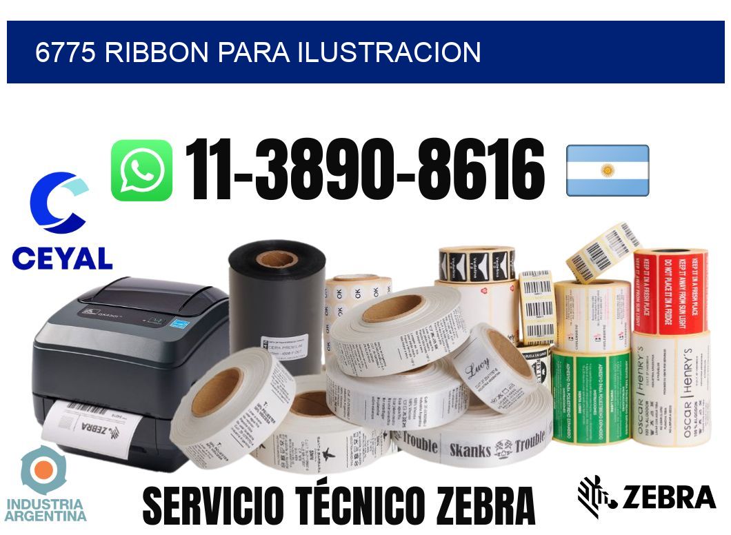 6775 ribbon para ilustracion