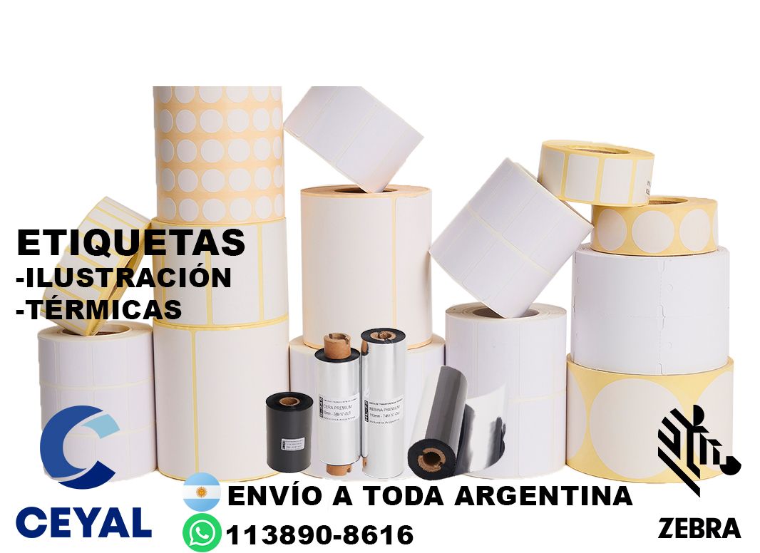 6920 ribbon resina