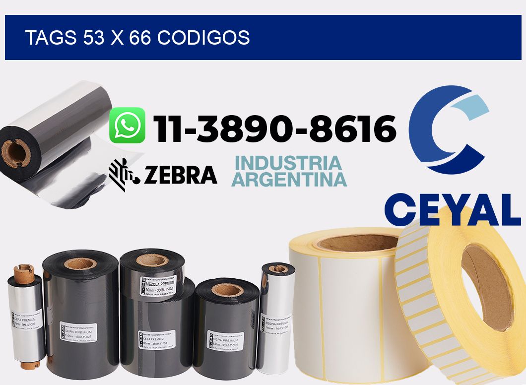 tags 53 x 66 codigos