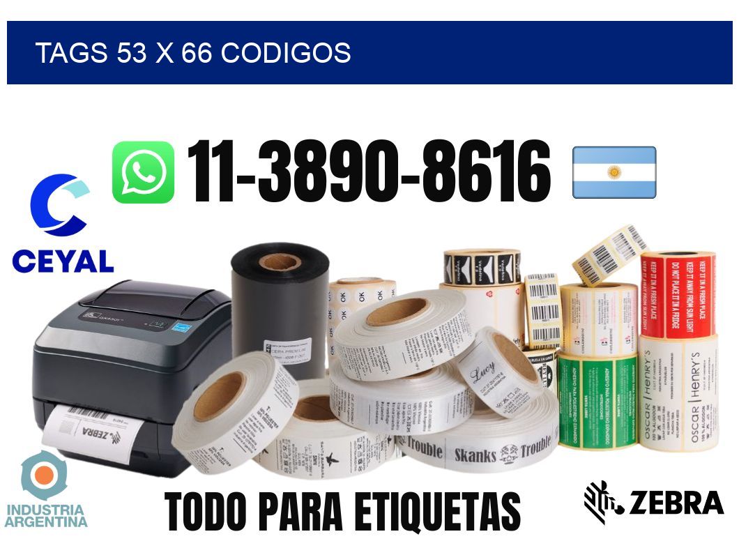 tags 53 x 66 codigos