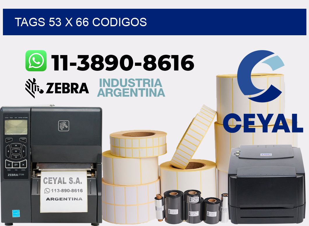 tags 53 x 66 codigos
