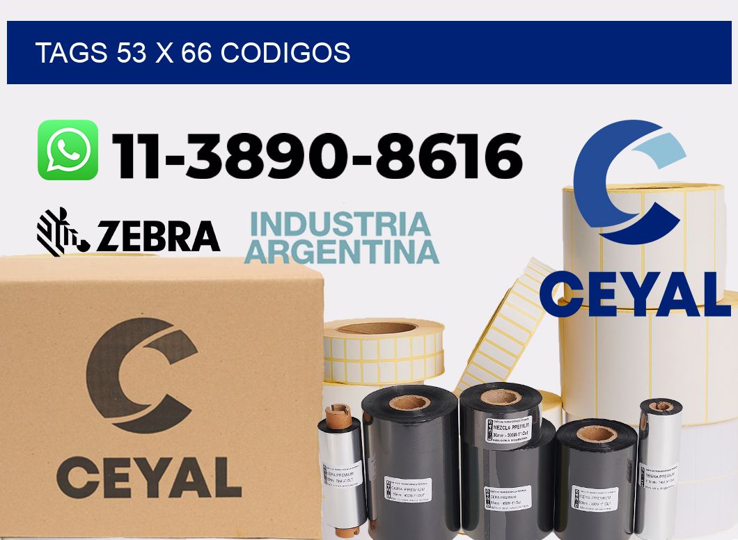 tags 53 x 66 codigos