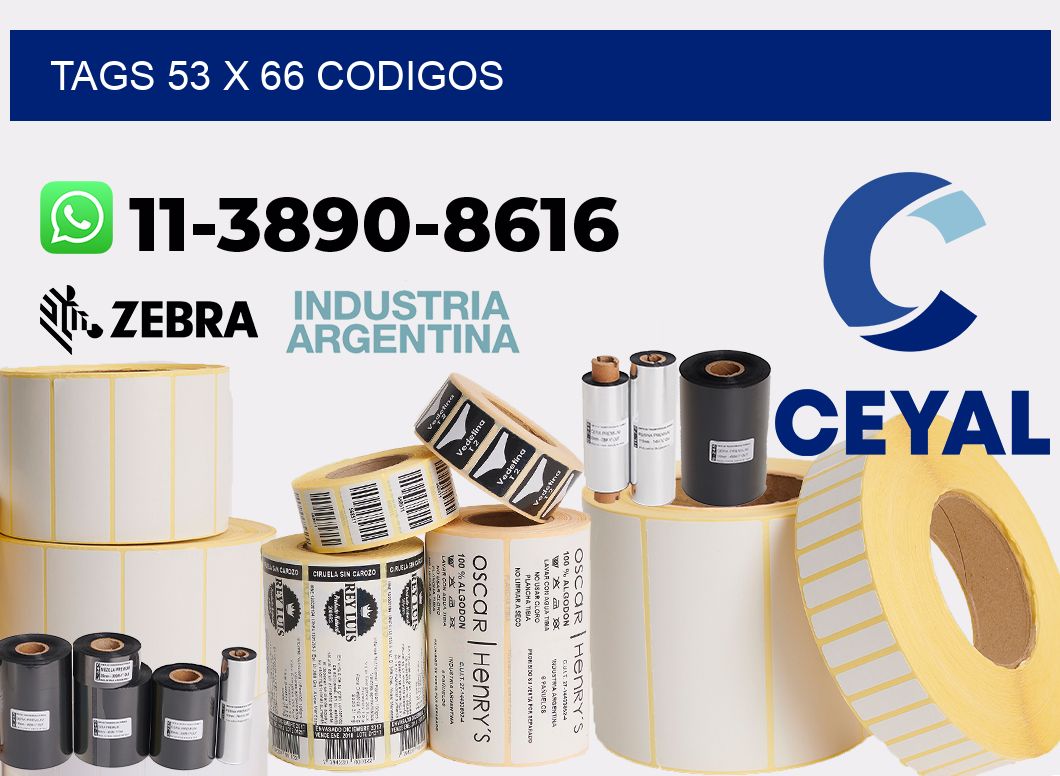 tags 53 x 66 codigos