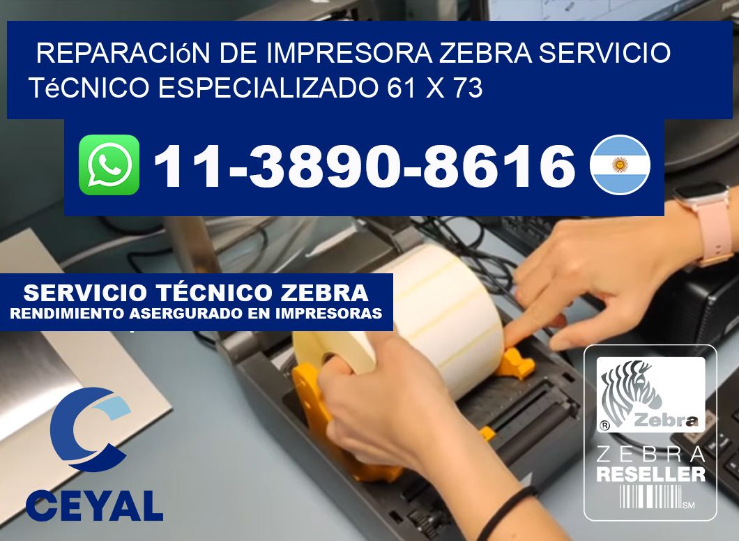 Reparación de Impresora Zebra Servicio Técnico Especializado 61 x 73