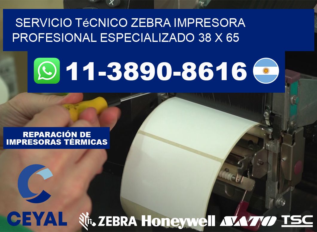 Servicio Técnico Zebra Impresora Profesional Especializado 38 x 65