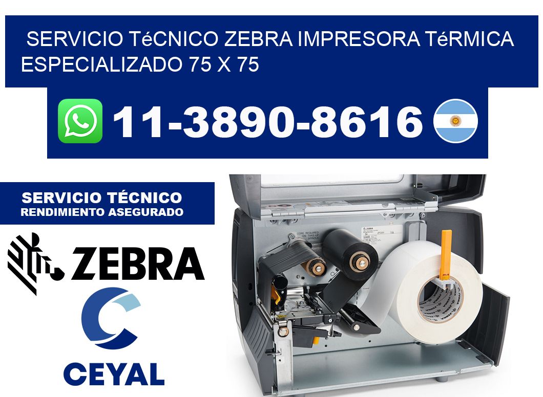 Servicio Técnico Zebra Impresora Térmica Especializado 75 x 75