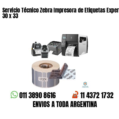 Servicio Técnico Zebra Impresora de Etiquetas Experto 30 x 33