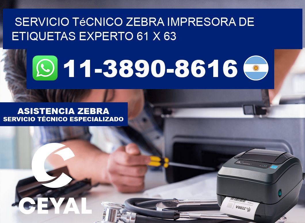 Servicio Técnico Zebra Impresora de Etiquetas Experto 61 x 63