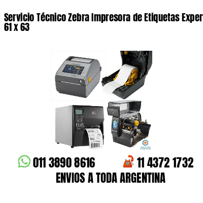 Servicio Técnico Zebra Impresora de Etiquetas Experto 61 x 63