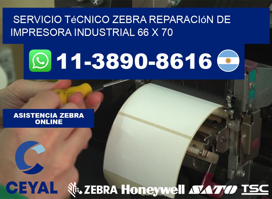 Servicio Técnico Zebra Reparación de Impresora Industrial 66 x 70