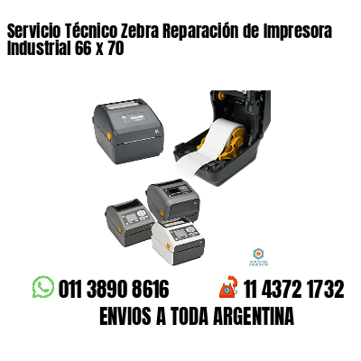 Servicio Técnico Zebra Reparación de Impresora Industrial 66 x 70