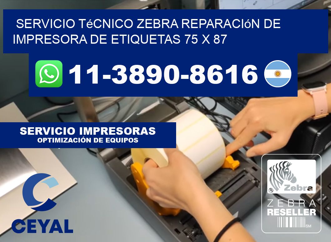 Servicio Técnico Zebra Reparación de Impresora de Etiquetas 75 x 87
