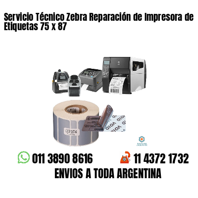 Servicio Técnico Zebra Reparación de Impresora de Etiquetas 75 x 87
