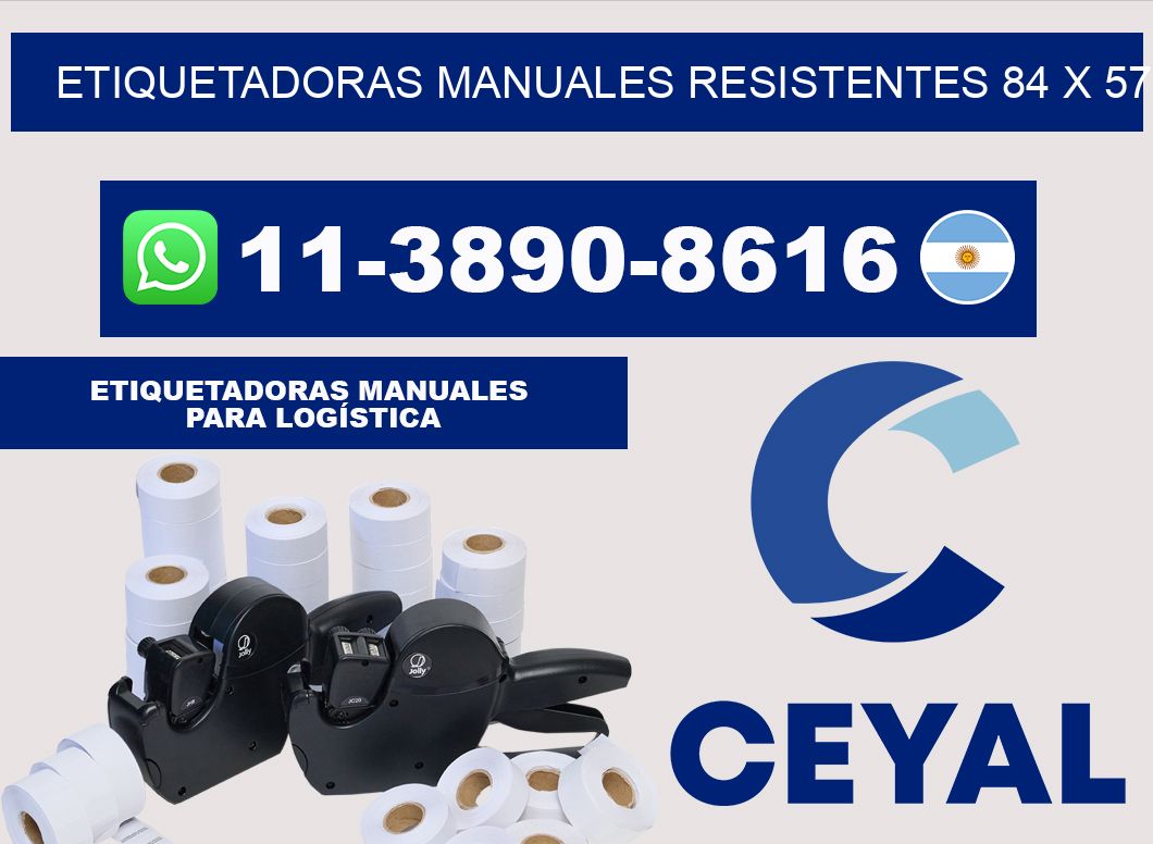 etiquetadoras manuales resistentes 84 x 57