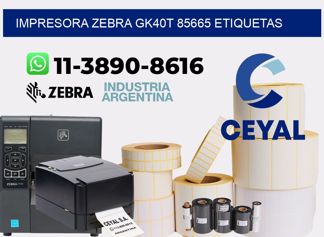 impresora zebra gk40t 85665 etiquetas