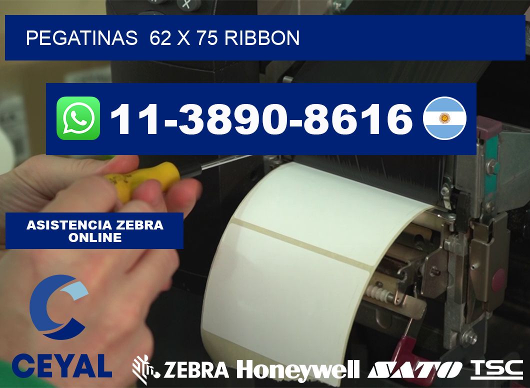 pegatinas 62 x 75 ribbon