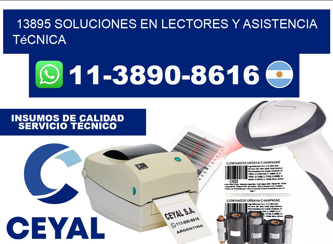 13895 Soluciones en Lectores y Asistencia Técnica