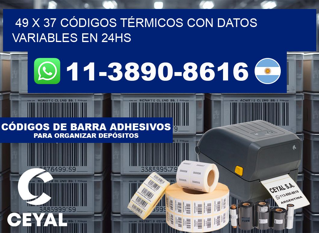 49 x 37 CÓDIGOS TÉRMICOS CON DATOS VARIABLES EN 24HS