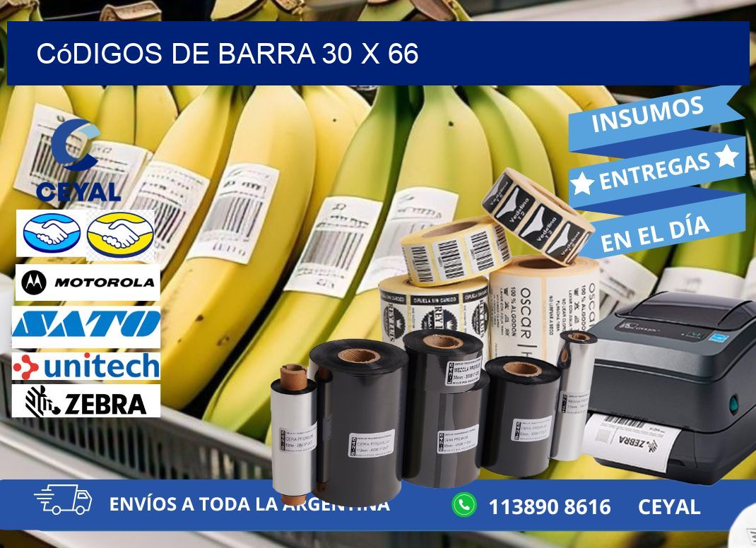 códigos de barra 30 x 66